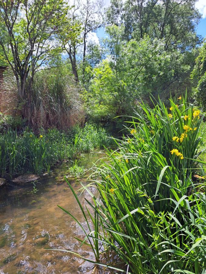 Le Moulin Etourneau - 3 Gites Avec 2 Piscines Champagnac  Экстерьер фото